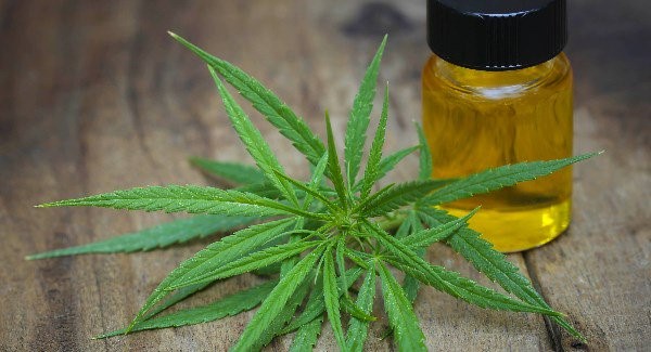 CBD Oil Zilis Selma 
      VA 24474